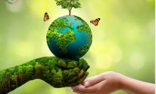 Lợi ích môi trường từ hệ thống năng lượng mặt trời