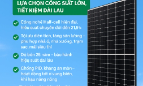 Giải Pháp Xanh Cho Tương Lai Bền Vững
