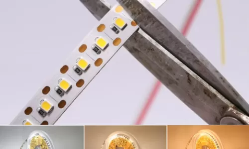 Tính công suất cho LED Dây Forlife