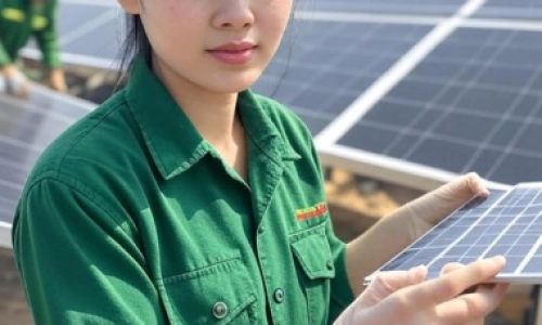 Tổng Quan Pin Lưu Trữ LuxPower 15kWh – Model LP15-LFP