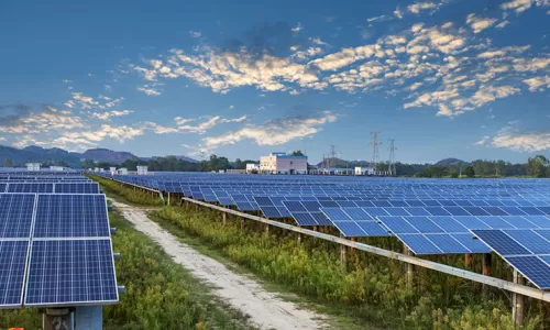 Tấm pin năng lượng mặt trời và hiệu quả lâu dài